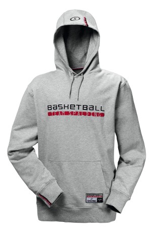 AUTHENTIC Hoody Gris