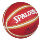 NBA Playerball LEBRON JAMES (signature)