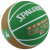 NBA Teamball BOSTON CELTICS (T7)
